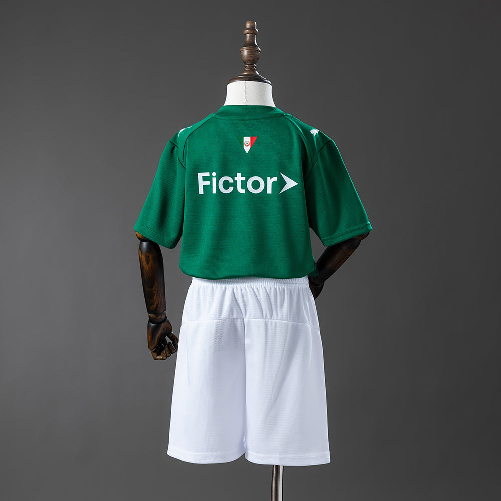 Kit Família Palmeiras: Camisa Infantil + Camisa Mãe - Verde